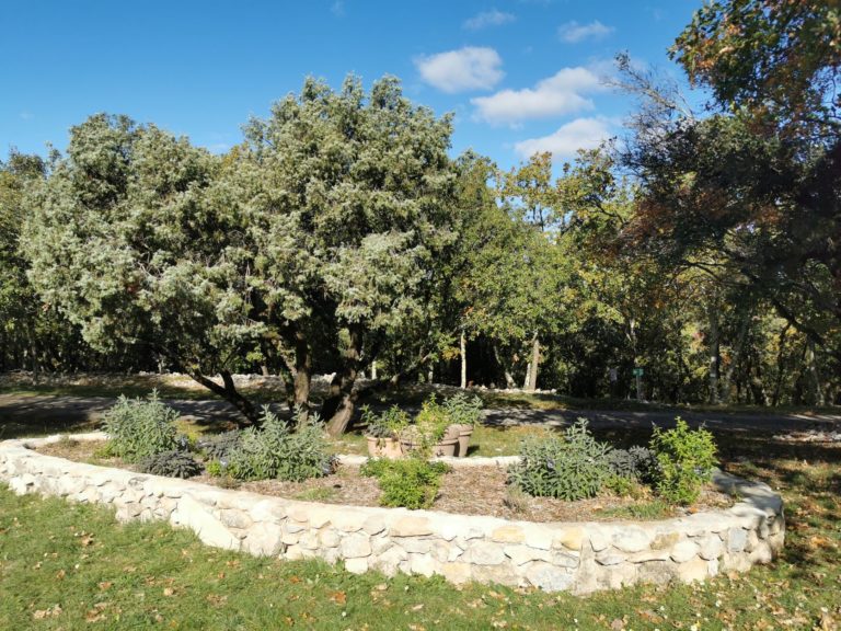 herbes Cévennes