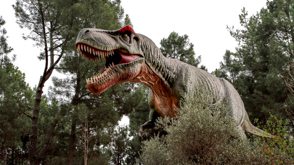 Dinopédia Parc