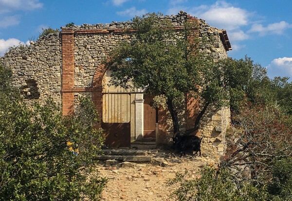 Chapelle Saint Saturnin Cévennes