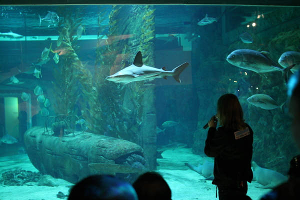 Seaquarium Occitanie